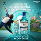 More edinburgh-gin-bottle-life.jpg